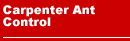 Carpenter Ant Control